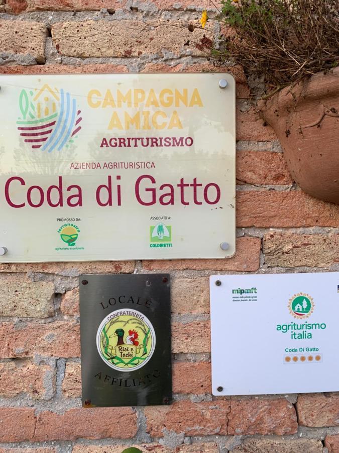 Agriturismo Coda Di Gatto Eraclea Exterior photo